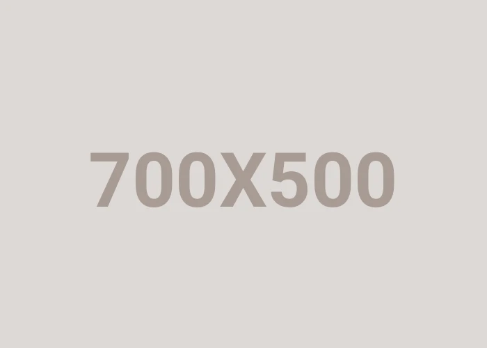 700X500
